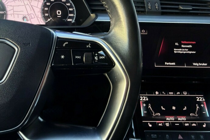 audi-e-tron-elektrisitet-2021-big-17
