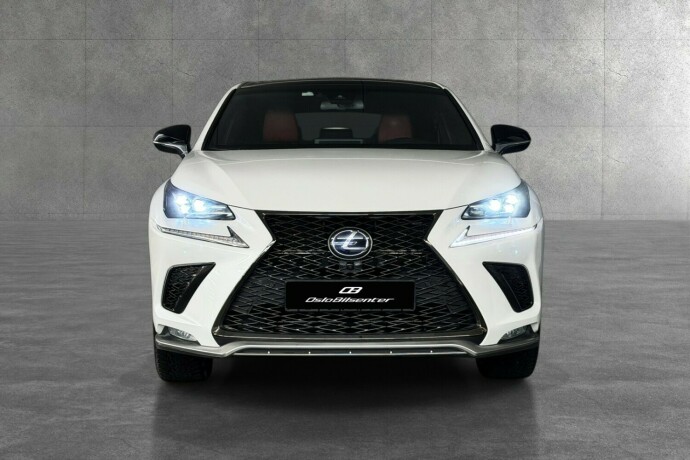 lexus-nx-300h-elektrisitetbensin-2019-big-7