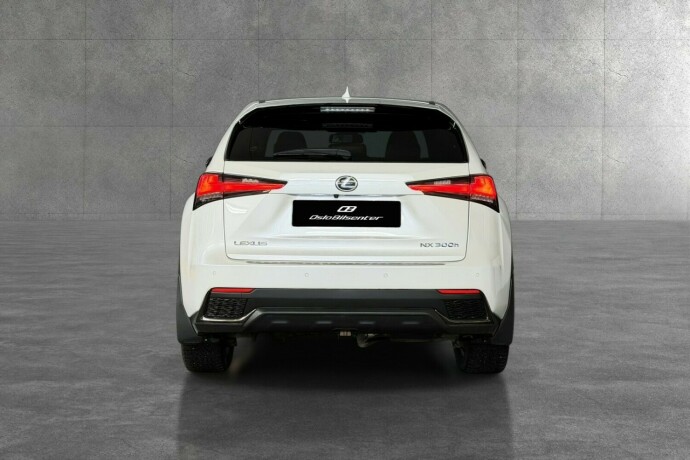 lexus-nx-300h-elektrisitetbensin-2019-big-3