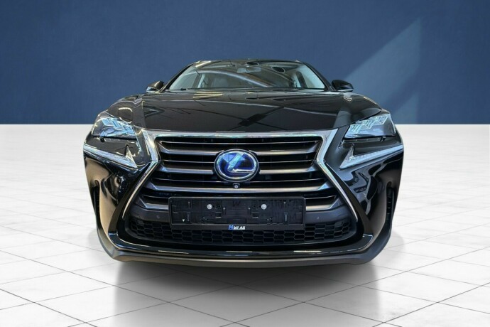 lexus-nx-300h-elektrisitetbensin-2016-big-8