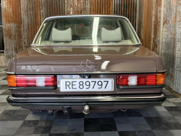 mercedes-benz-250-bensin-1978-big-15