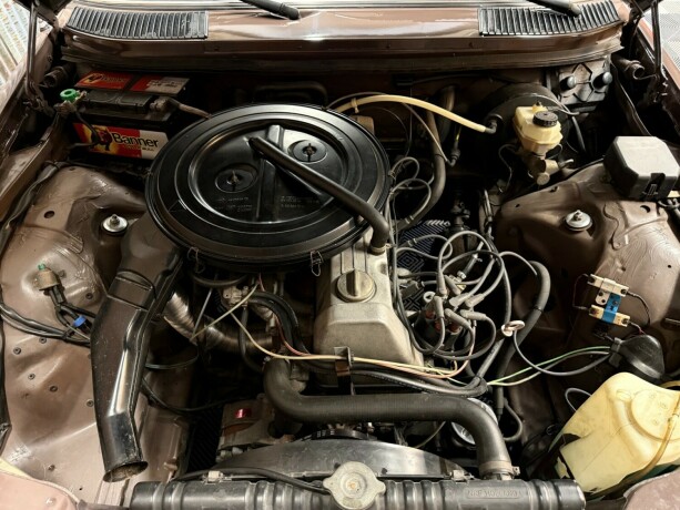 mercedes-benz-250-bensin-1978-big-42
