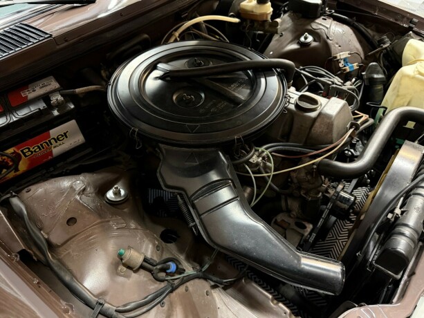 mercedes-benz-250-bensin-1978-big-44