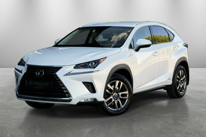 lexus-nx-300h-elektrisitetbensin-2018-big-0