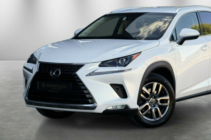 lexus-nx-300h-elektrisitetbensin-2018-big-1