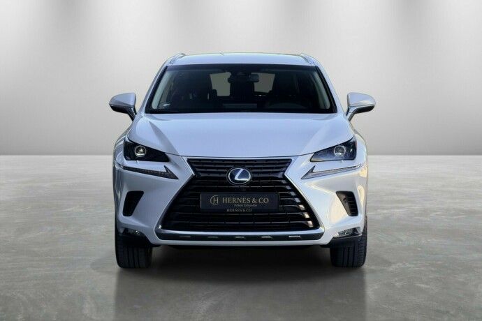 lexus-nx-300h-elektrisitetbensin-2018-big-2