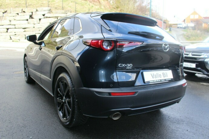 mazda-cx-30-elektrisitetbensin-2020-big-2