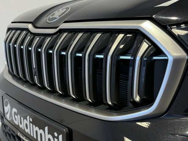 skoda-kodiaq-diesel-2025-big-2