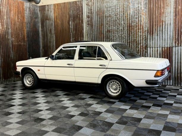 mercedes-benz-e-klasse-bensin-1981-big-12