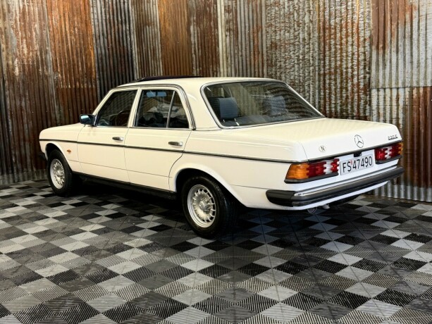 mercedes-benz-e-klasse-bensin-1981-big-10
