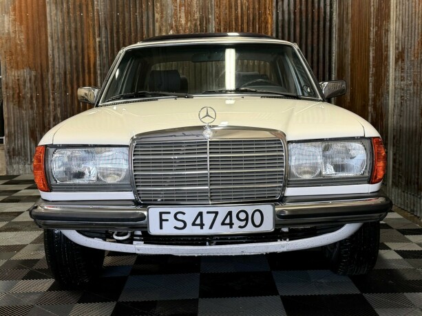 mercedes-benz-e-klasse-bensin-1981-big-8