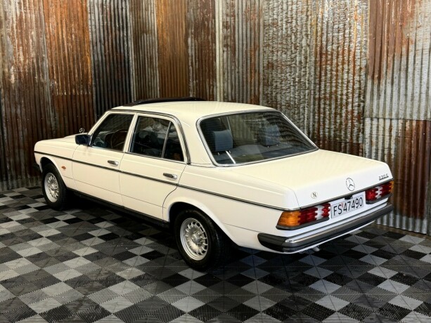mercedes-benz-e-klasse-bensin-1981-big-11