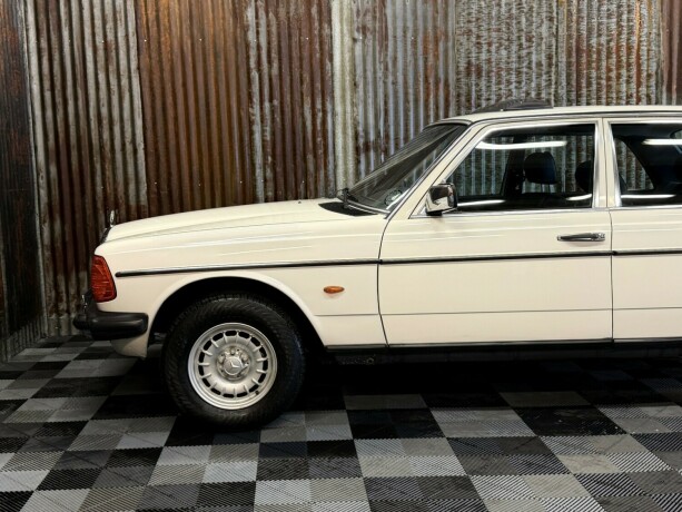 mercedes-benz-e-klasse-bensin-1981-big-14