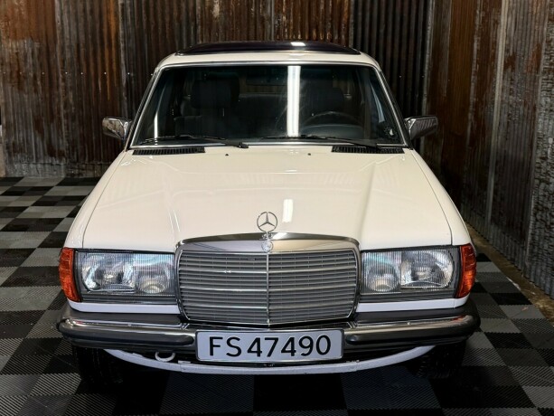 mercedes-benz-e-klasse-bensin-1981-big-9