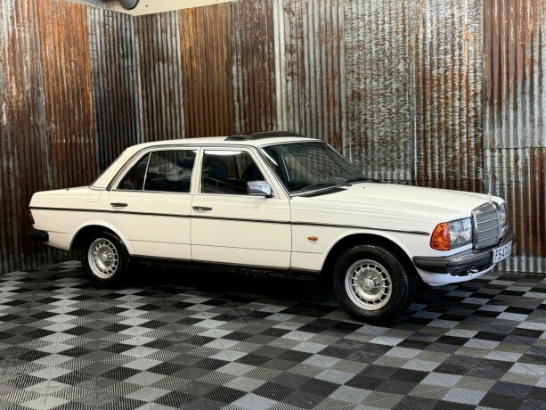 mercedes-benz-e-klasse-bensin-1981-big-2