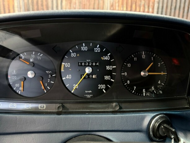 mercedes-benz-e-klasse-bensin-1981-big-22