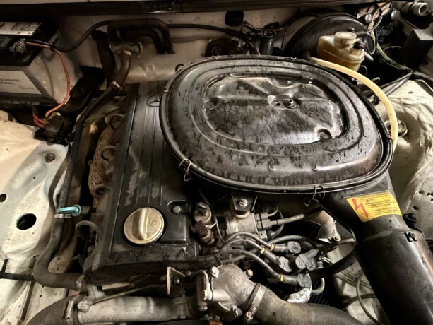 mercedes-benz-e-klasse-bensin-1981-big-40
