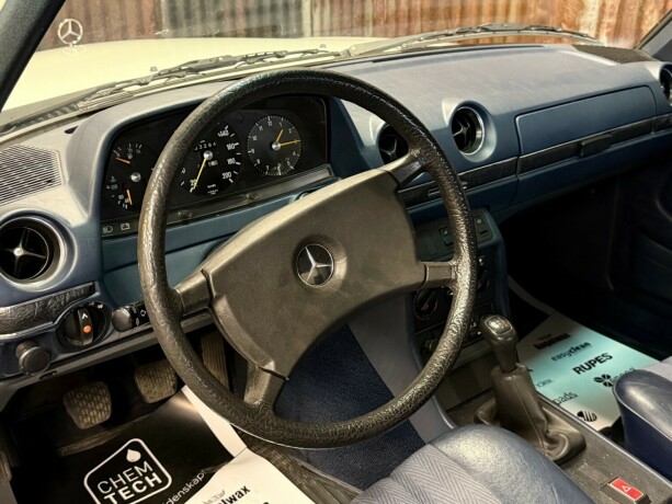 mercedes-benz-e-klasse-bensin-1981-big-19