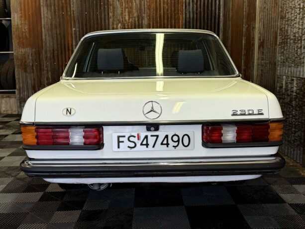 mercedes-benz-e-klasse-bensin-1981-big-17