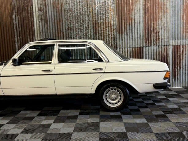 mercedes-benz-e-klasse-bensin-1981-big-13