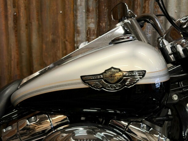 harley-davidson-flhrci-road-king-classic-bensin-2003-big-4
