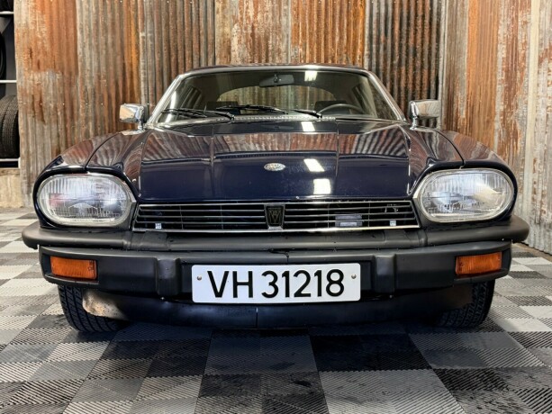 jaguar-xjs-bensin-1981-big-8