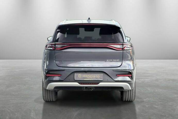 byd-tang-elektrisitet-2024-big-4