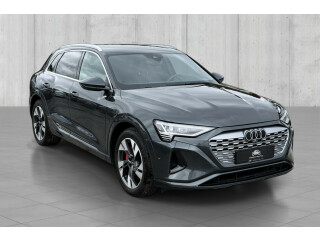 Audi | Q8 | Elektrisitet | 2024