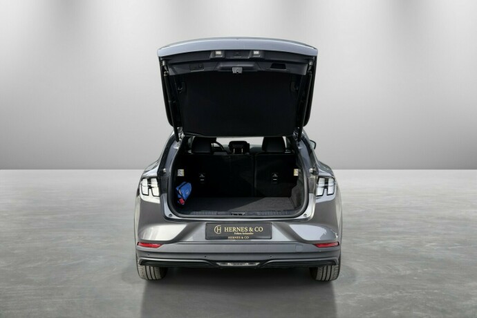 ford-mustang-mach-e-elektrisitet-2021-big-9