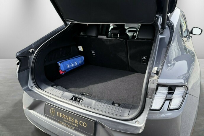 ford-mustang-mach-e-elektrisitet-2021-big-10