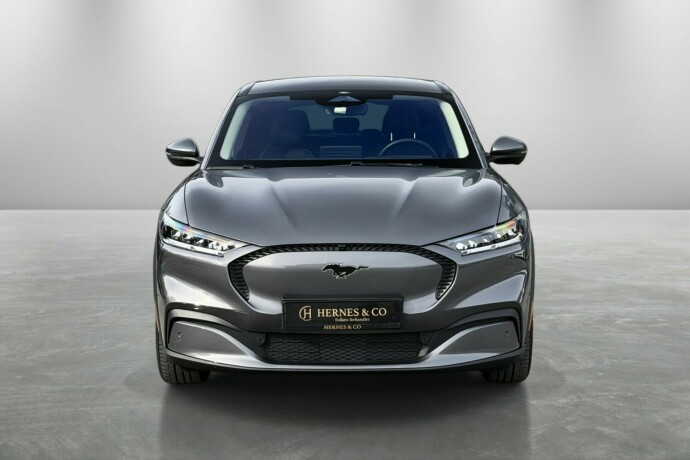 ford-mustang-mach-e-elektrisitet-2021-big-2