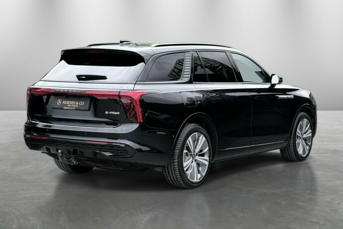 hongqi-e-hs9-elektrisitet-2022-big-6
