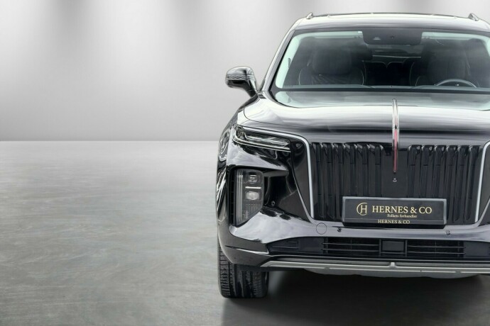 hongqi-e-hs9-elektrisitet-2022-big-4