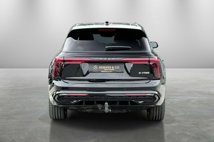 hongqi-e-hs9-elektrisitet-2022-big-9