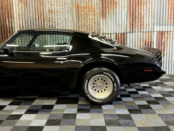 pontiac-firebird-bensin-1974-big-13