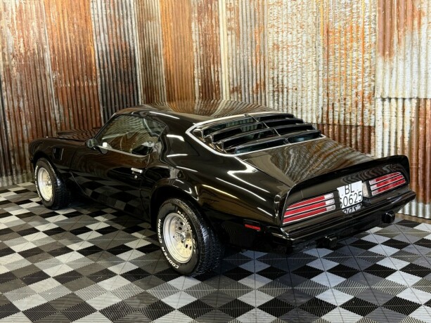 pontiac-firebird-bensin-1974-big-11