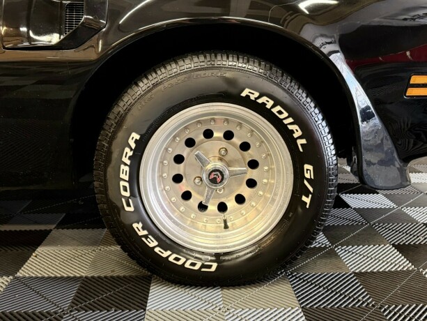 pontiac-firebird-bensin-1974-big-6
