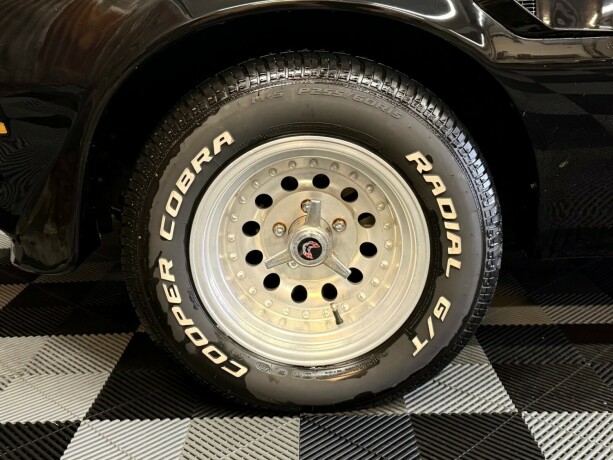pontiac-firebird-bensin-1974-big-15