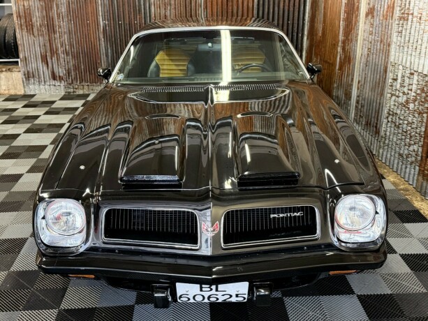 pontiac-firebird-bensin-1974-big-8