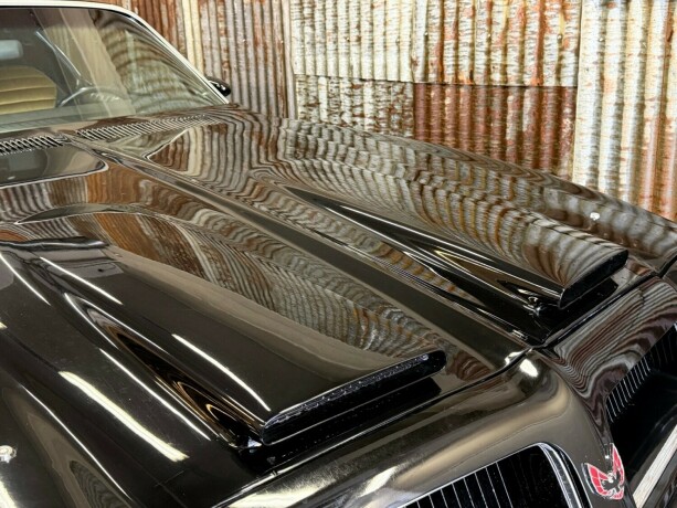 pontiac-firebird-bensin-1974-big-9