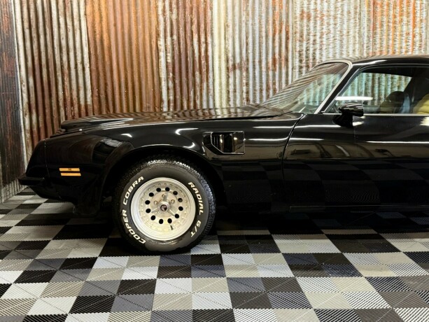 pontiac-firebird-bensin-1974-big-14