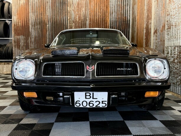 pontiac-firebird-bensin-1974-big-7