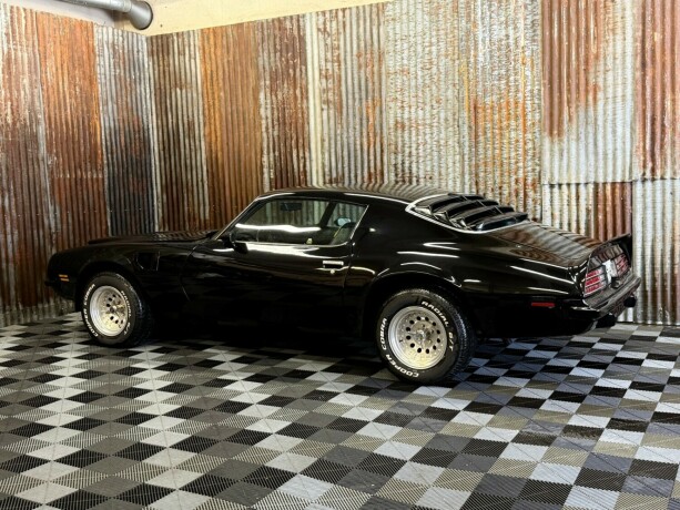 pontiac-firebird-bensin-1974-big-12