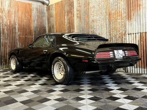 pontiac-firebird-bensin-1974-big-10