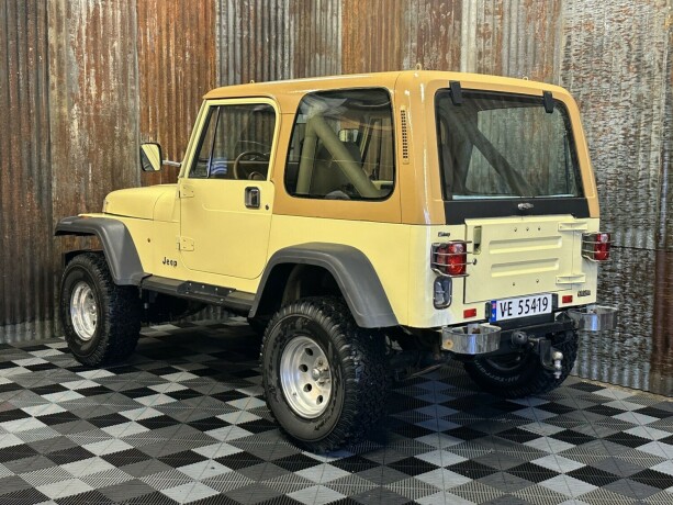 jeep-wrangler-bensin-1988-big-10