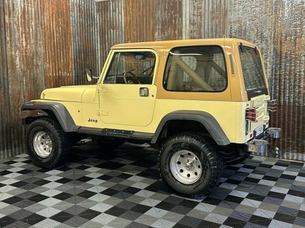 jeep-wrangler-bensin-1988-big-12