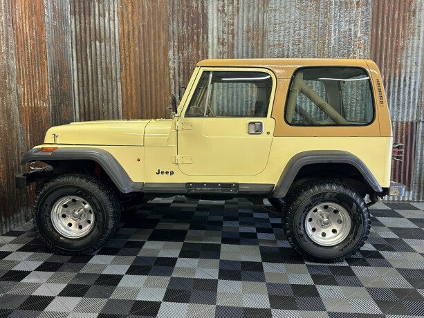 jeep-wrangler-bensin-1988-big-15