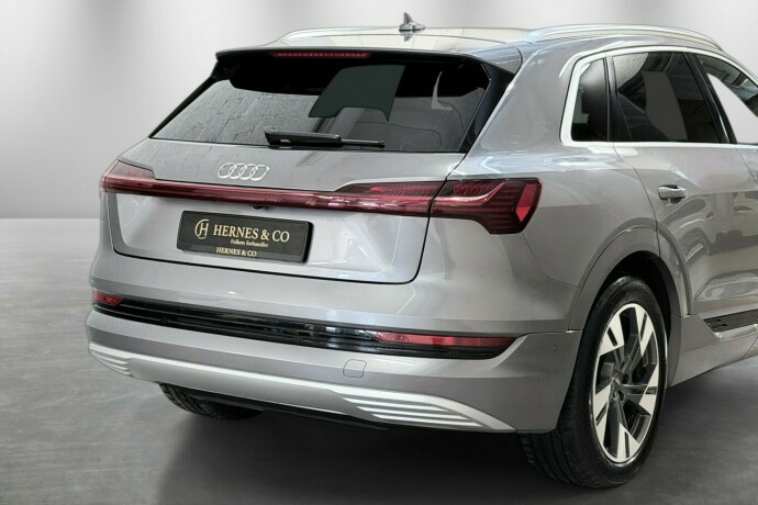 audi-e-tron-elektrisitet-2020-big-6