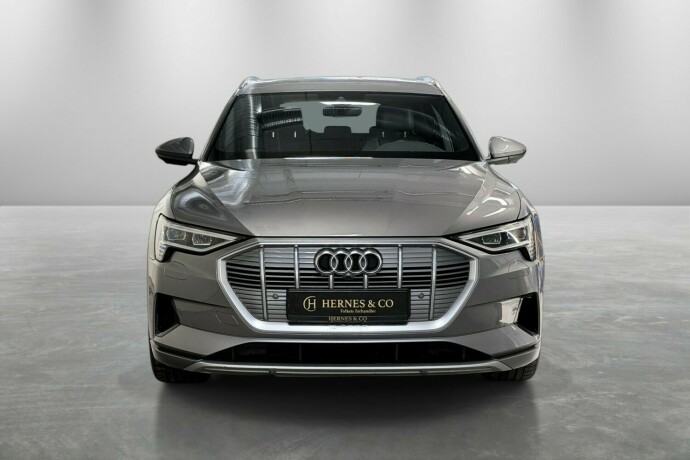 audi-e-tron-elektrisitet-2020-big-3