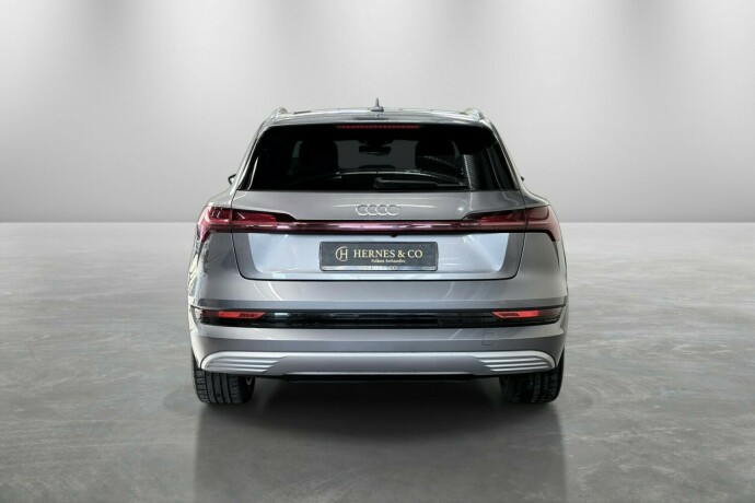 audi-e-tron-elektrisitet-2020-big-7